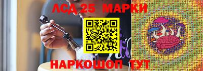 СК Краснодар