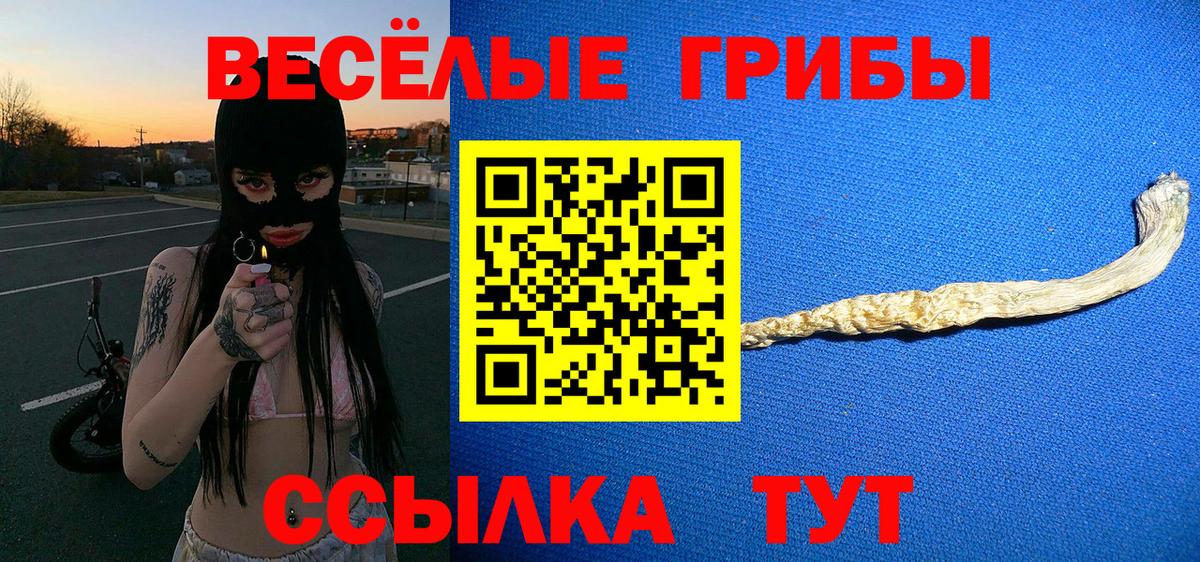 Псилоцибиновые грибы MAGIC MUSHROOMS  Галлюциногенные грибы MAGIC MUSHROOMS  Вход с VPN  Кашира 
