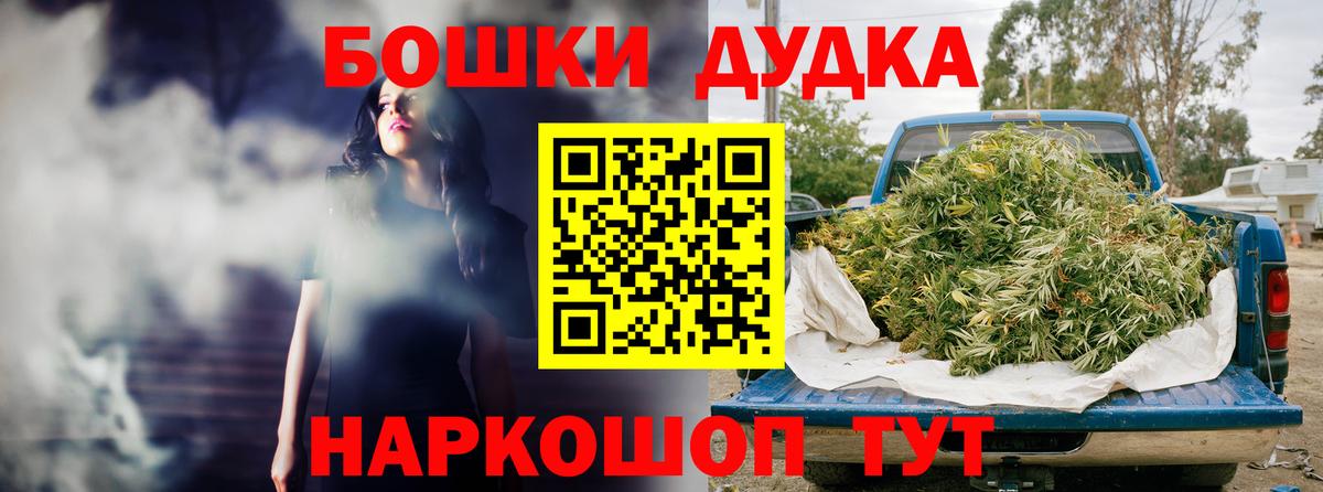 Каннабис планчик Кашира